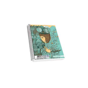 SKAG University Fun Τετράδιο Σπιράλ 3 Θεμάτων 17X25 Εκ. 232340 5201303232340