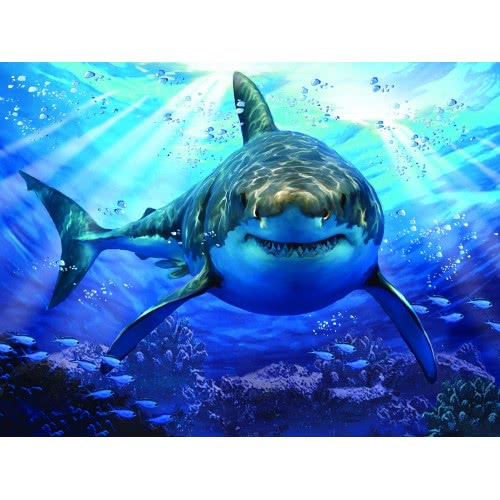 prime3d 3D Puzzle 1000 Howard Robinson - Great White Shark 16001 670889160012