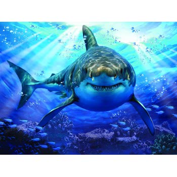 prime3d 3D Παζλ 1000 Howard Robinson - Great White Shark Λευκός Μεγάλος Καρχαρίας 16001 670889160012
