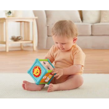 Mattel Fisher Price Κύβος Δραστηριοτήτων Με Ζωάκια Χ BFH80 746775309947