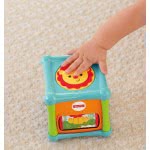 Mattel Fisher Price Κύβος Δραστηριοτήτων Με Ζωάκια Χ BFH80 746775309947