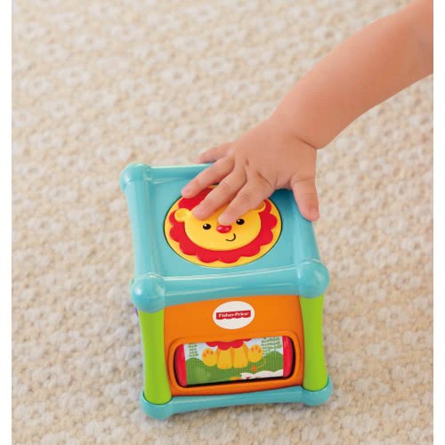 Mattel Fisher Price Κύβος Δραστηριοτήτων Με Ζωάκια Χ BFH80 746775309947