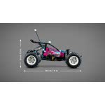 LEGO Technic Off-Road Buggy 42124 5702016891010