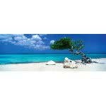 HEYE Παζλ 1000 Humboldt Panorama - Δέντρο Divi Divi 29399 4001689293994