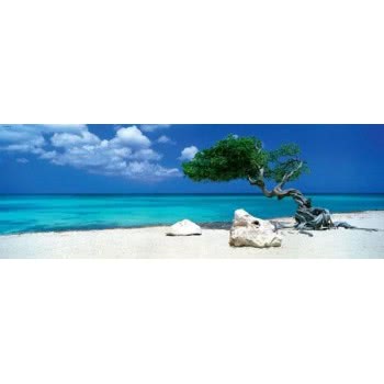 HEYE Παζλ 1000 Humboldt Panorama - Δέντρο Divi Divi 29399 4001689293994