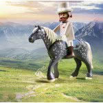 Playmobil Princess Horse-Drawn Carriage 70449 4008789704498
