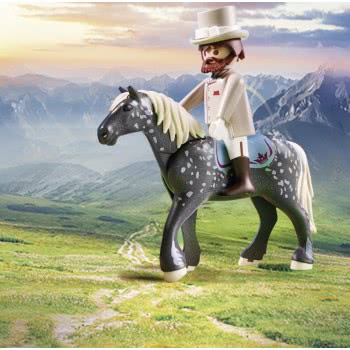 Playmobil Princess Horse-Drawn Carriage 70449 4008789704498