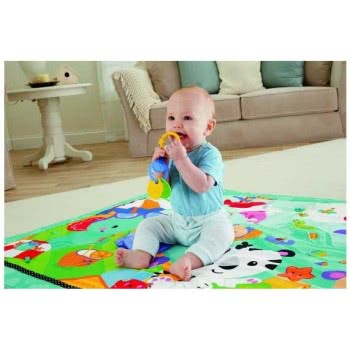 Mattel Μεγάλο Πάπλωμα Δραστηριοτήτων CBJ65 887961007732