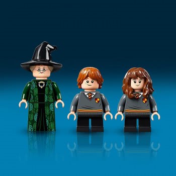 LEGO Harry Potter Hogwarts Moment: Transfiguration Class Building Set 76382 5702016913576