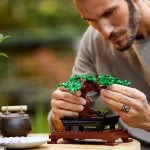 LEGO Creator Expert Bonsai Tree Set 10281 5702016914177