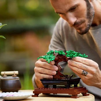 LEGO Creator Expert Bonsai Tree Μπονσάι 10281 5702016914177