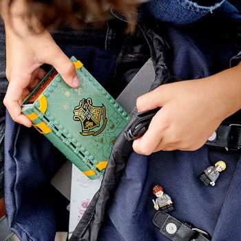 LEGO Harry Potter Hogwarts Moment: Potions Class 76383 5702016912944