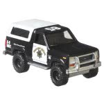 Mattel Hot Wheels 2020 Cultura Auto Wild Terrain 85 Ford Bronco 4X4 Real Riders FPY86 / GJP88 887961815825