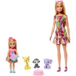 Mattel Barbie And Chelsea The Lost Birthday Dolls, Pets And Accessories GTM82 887961918397