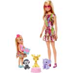 Mattel Barbie And Chelsea The Lost Birthday Dolls, Κατοικίδια Και Αξεσουάρ GTM82 887961918397