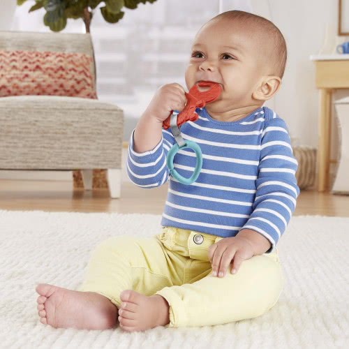 Mattel Teether - Crab GYN23 / GYV39 887961980158