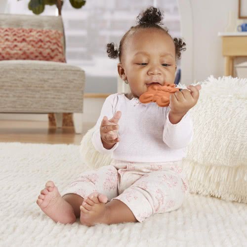 Mattel Teether - Butterfly GYN23 / GYV38 887961980165