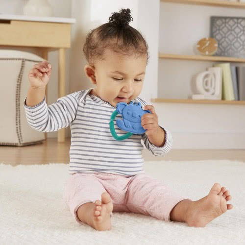 Mattel Teether - Koala GYN23 / GYN26 887961976915