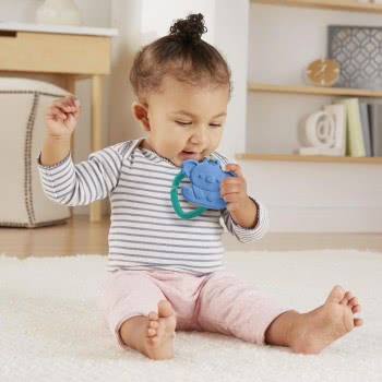Mattel Teether - Koala GYN23 / GYN26 887961976915
