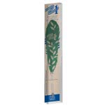 Diakakis imports Pen With Colored Feather In A Case Greece 2021 - 4 Designs 000201012 5205698502446