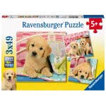 Ravensburger Παζλ 3X49 Τεμ. Κουταβάκια 08065 4005556080656