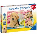 Ravensburger 3X49 Pcs Puzzle Puppies 08065 4005556080656