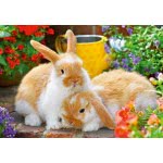 Ravensburger Παζλ 2X12 Τεμ. Γλυκά Ζωάκια 05144 4005556051441