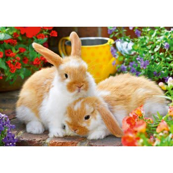 Ravensburger 2X12 Pcs Puzzle Cute Animals 05144 4005556051441