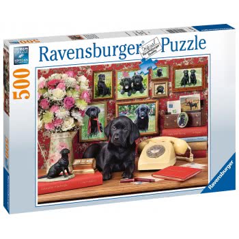 Ravensburger 500 Pcs Puzzle Labrador 16591 4005556165919