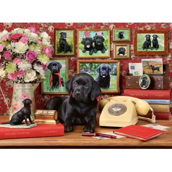 Ravensburger 500 Pcs Puzzle Labrador 16591 4005556165919
