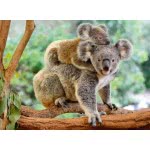 Ravensburger 200Xxl Pcs Puzzle Koala Family 12945 4005556129454