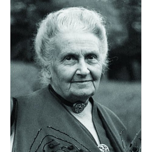 Clementoni Εξυπνούλης Montessori Εκπαιδευτικό Παιχνίδι Τα Ζώα Για 2+ Χρονών 1024-63323 8005125633234