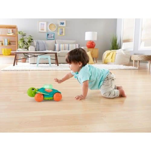 Mattel Turtle Bousoulitsa GXK37 887961958843