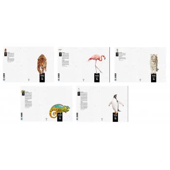 A&G PAPER Σπιράλ A4 4Θέματα 140Φ Wildlf 016310-ANG055 5203296163106