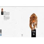 A&G PAPER Σπιράλ A4 4Θέματα 140Φ Wildlf 016310-ANG055 5203296163106