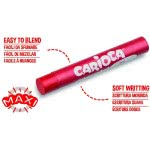 CARIOCA Oil Pastels 24 Units C43278 8003511432782