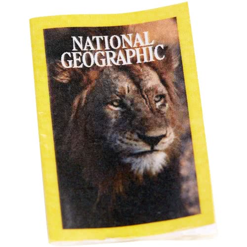 Mattel Barbie National Geographic Photojournalist Doll GDM46 