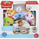 Mattel Μουσικό Μαξιλαράκι Δραστηριοτήτων - Βραδύπους GRR01 887961910261