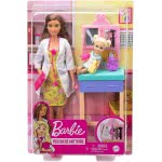 Mattel Barbie Σετ Επαγγέλματα Με Παιδάκια Και Ζωάκια - Κούκλα Παιδίατρος DHB63 / GTN52 887961918632