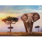 Clementoni High Quality Collection African Sunset Puzzle For Children And Adults 500 Pieces, Ages 10 Years Plus 1220-35096 80051