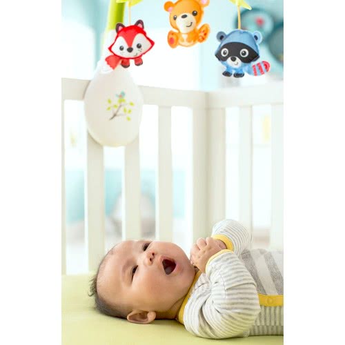 Mattel Περιστρεφόμενο Με Ζωάκια 3-Σε-1 CDM84 887961045444