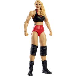 Mattel WWE Lacey Evans Action Figure GDF62 / GTG33 887961914665