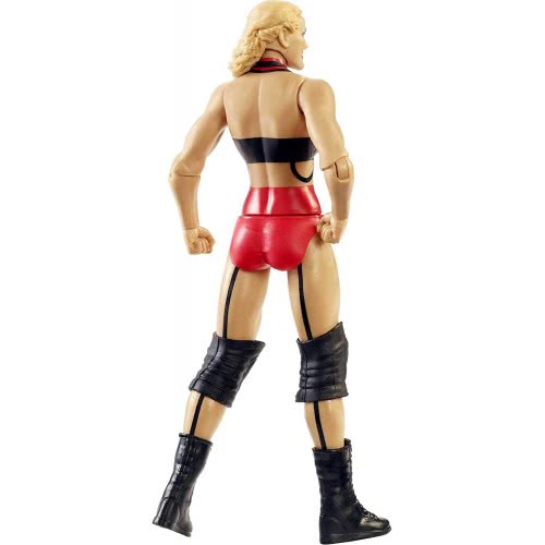 Mattel WWE Lacey Evans Action Figure GDF62 / GTG33 887961914665