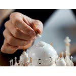 LEGO Architecture Taj Mahal 21056 5702016914139