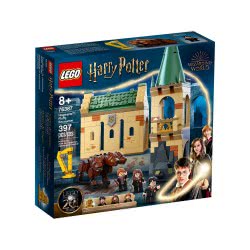 LEGO Harry Potter Hogwarts: Fluffy Encounter 76387 5702016912968