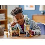 LEGO Harry Potter Hogwarts: Fluffy Encounter 76387 5702016912968