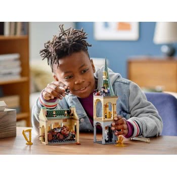 LEGO Harry Potter Hogwarts: Fluffy Encounter 76387 5702016912968