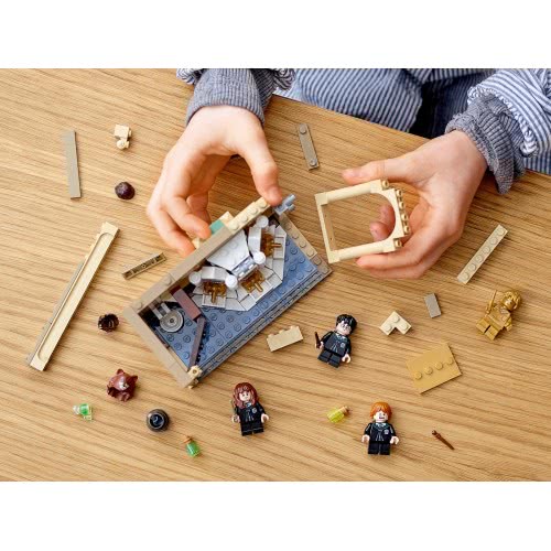 LEGO Harry Potter Hogwarts Polyjuice Potion Mistake 76386 5702016913507