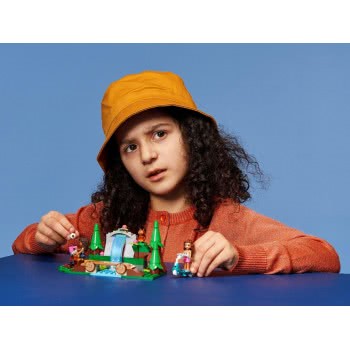 LEGO Friends Forest Waterfall 41677 5702016916515