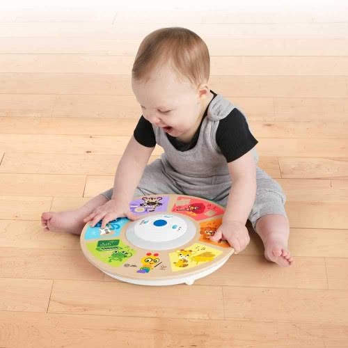 Hape Orchestre Magic Touch Baby Einstein Musical Toy 6 Months + E0890 6943478030275